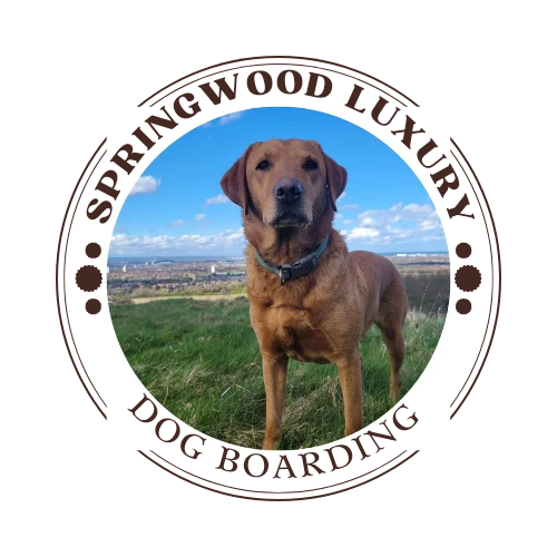 Springwood Luxury Dog Boarding logo